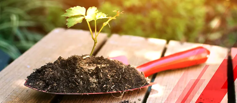 Green is the New Black: Adopting Organic Fertilizers for a Sustainable Future